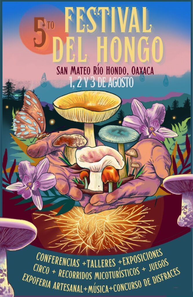 festival del hongo 2025 san mateo rio hondo, oaxaca